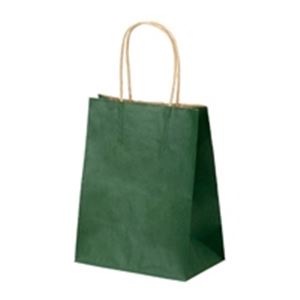 （まとめ買い）ベルベ 手提紙袋 小 緑25枚入 1215 【×4セット】