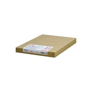 （まとめ買い）Nagatoya OA大札和紙 ナ-857 A4 白 250枚 【×2セット】