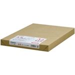 （まとめ買い）Nagatoya OA大札和紙 ナ-857 A4 白 250枚 【×2セット】