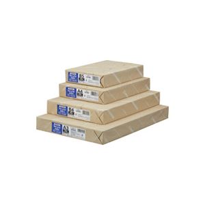 （まとめ買い）ジョインテックス コピーペーパー R100II A3冊500枚 A093J 【×8セット】