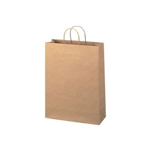 （まとめ買い）ジョインテックス 手提袋 丸紐 茶 特大 50枚 B290J-B 【×3セット】