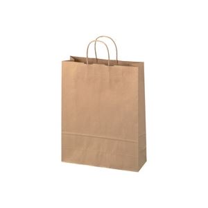 （まとめ買い）ジョインテックス 手提袋 丸紐 茶 大 50枚 B289J-B 【×4セット】