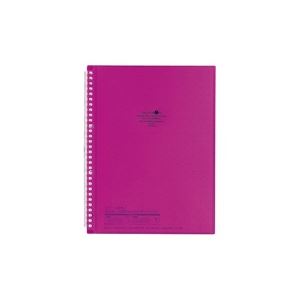 （まとめ買い）LIHITLAB イージーチェンジ・クリヤーブック クリアブックN1482-10 【×10セット】