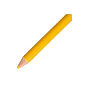 （まとめ買い）トンボ鉛筆 色鉛筆 単色 12本入 1500-04 山吹 【×5セット】