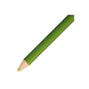 （まとめ買い）トンボ鉛筆 色鉛筆 単色 12本入 1500-06 黄緑 【×5セット】