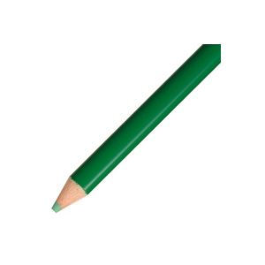 （まとめ買い）トンボ鉛筆 色鉛筆 単色 12本入 1500-07 緑 【×5セット】