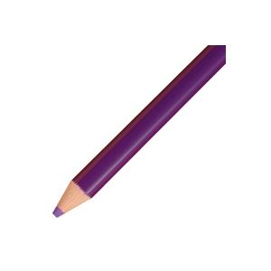 （まとめ買い）トンボ鉛筆 色鉛筆 単色 12本入 1500-19 すみれ 【×5セット】