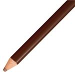 （まとめ買い）トンボ鉛筆 色鉛筆 単色 12本入 1500-31 茶 【×5セット】