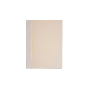 （まとめ買い）プラス レポートファイル FL-101RT A4S 淡灰 【×20セット】