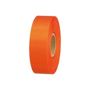 （まとめ買い）ジョインテックス カラーリボンオレンジ 24mm*25m B824J-OR 【×10セット】