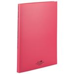 （まとめ買い）LIHITLAB クリヤーブック クリアブック交換式 N-5015 赤 【×10セット】