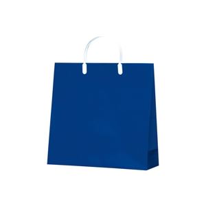 （まとめ買い）今村紙工 カラーコーティングバッグ小 紺10枚CCB-02 【×2セット】