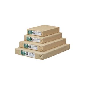 （まとめ買い）ジョインテックス コピーペーパーR70 A3 500枚冊 A289J 【×8セット】