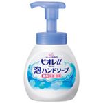 （まとめ買い）花王 ビオレU泡ハンドソープ ポンプ250ml 【×40セット】