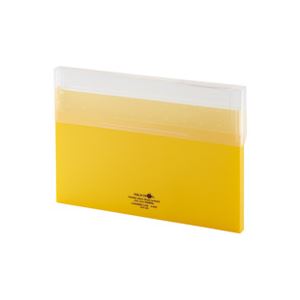 （まとめ買い）LIHITLAB コングレスケース薄型 A-5035-5 黄 【×10セット】