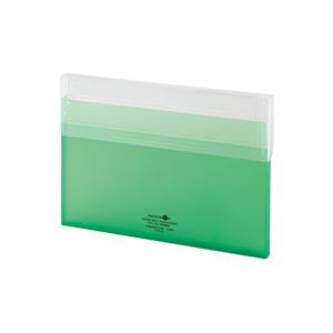 （まとめ買い）LIHITLAB コングレスケース薄型 A-5035-6 黄緑 【×10セット】