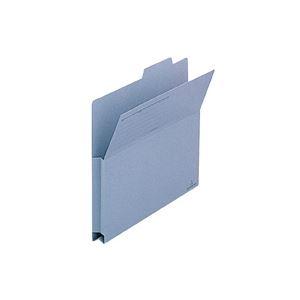 （まとめ買い）プラス 持出しフォルダー FL-001PF A4E ブルー 【×30セット】