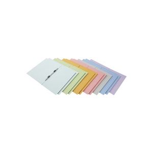 （まとめ買い）フラットファイル 紙バインダー 2穴 A4S MIX12冊 D017J-MIX 【×20セット】