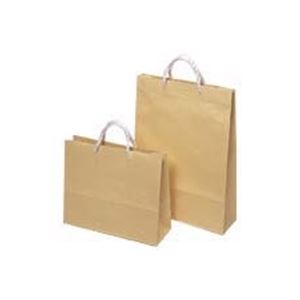 （まとめ買い）東京ユニオン ペーパークラフト 704 大 10枚入 【×3セット】