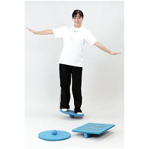 レクトレバランスボード