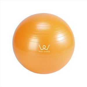 エクササイズボール55cmオレンジ 228-04M