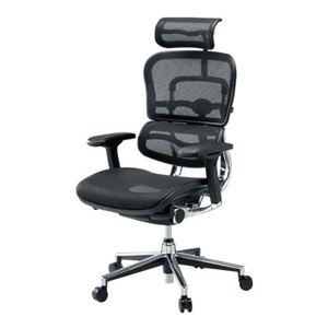 【組立設置費込】エルゴヒューマン 事務イス（オフィスチェア/OAチェア） EH-HAM-HB KM-11 BK