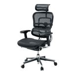 【組立設置費込】エルゴヒューマン 事務イス（オフィスチェア/OAチェア） EH-HAM-HB KM-11 BK