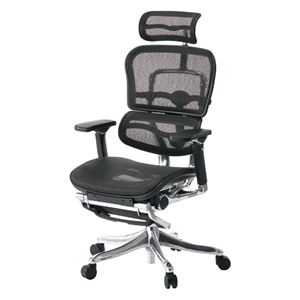 【組立設置費込】エルゴヒューマン 事務イス（オフィスチェア/OAチェア） EHP-LPL-KM-11 BK オットマン付