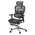 【組立設置費込】エルゴヒューマン 事務イス（オフィスチェア/OAチェア） EHP-LPL-KM-11 BK オットマン付