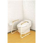 アロン 安寿トイレ用立ち上がり補助フレーム SUS-R（ステンレス製） 533078