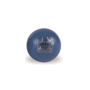 エバニュー（EVERNEW） 砲丸（鉄）DX中学女子 検定 EGC094 日本製