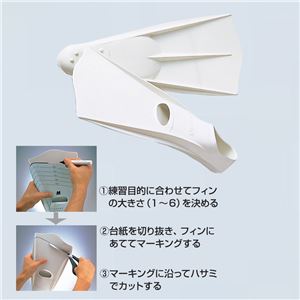 エバニュー（EVERNEW） ドルフィンマスター L EHA167 日本製