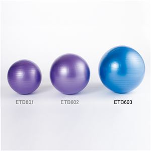 エバニュー（EVERNEW） ノンバーストバランスボール75 ETB603