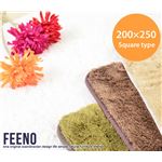 ラグマット/ラグカーペット 【長方形/200cm×250cm】 洗える/ホットカーペット対応/軽量/滑り止め加工 北欧風 ブラウン