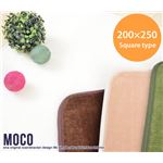 ラグマット/ラグカーペット 【長方形/200cm×250cm】 洗える/ホットカーペット対応/撥水加工/滑り止め加工 アイボリー