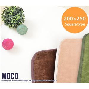 ラグマット/ラグカーペット 【長方形/200cm×250cm】 洗える/ホットカーペット対応/撥水加工/滑り止め加工 ベージュ