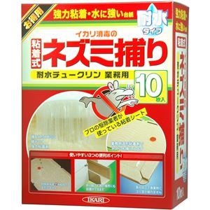 イカリショウドク 耐水チュークリン 業務用 10マイイリ