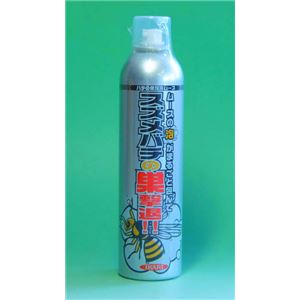 イカリショウドク ハチの巣駆除ムース 300ml