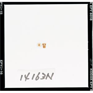 【DAYTONA/デイトナ】M・Jセット（E）#100-#125 1X6 