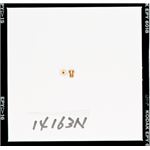 【DAYTONA/デイトナ】M・Jセット（E）#140-#165 2X6 