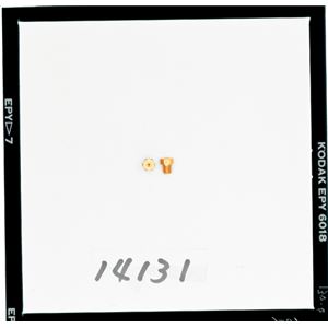 【DAYTONA/デイトナ】M・Jセット（G）#105-130 1X6 