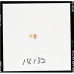 【DAYTONA/デイトナ】M・Jセット（L）#75-#100 1X6 