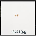 【DAYTONA/デイトナ】M・Jセット（M）#75-#100 1X6 