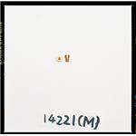 【DAYTONA/デイトナ】M・Jセット（M）#85-#110 1X6 