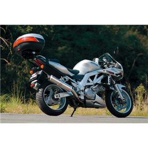 【DAYTONA/デイトナ】GIVI（ジビ） 529FZ モノラック SV1000K3 