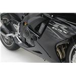 【DAYTONA/デイトナ】EGプロテクタGSX-R750（11） 