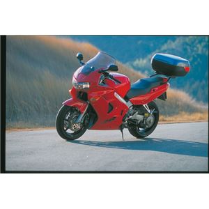 【DAYTONA/デイトナ】GIVI（ジビ） 257FZ Mラックステ-VFR800W 
