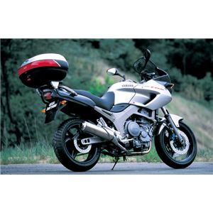 【DAYTONA/デイトナ】GIVI（ジビ） 347F モノラックステー TDM900 