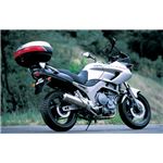 【DAYTONA/デイトナ】GIVI（ジビ） 347F モノラックステー TDM900 