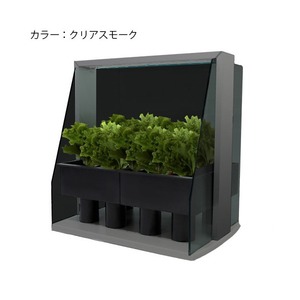 箱庭栽培　Piccola（ピッコラ） クリアスモーク 室内家庭菜園キット　WF-01S